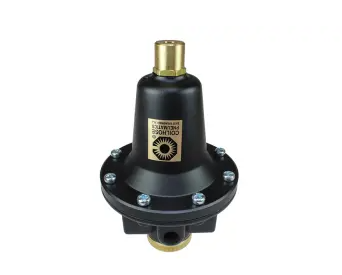 8804KL - COILHOSE - Heavy Duty Series Regulator, 1/2", Tamperproof, 0-50 psi