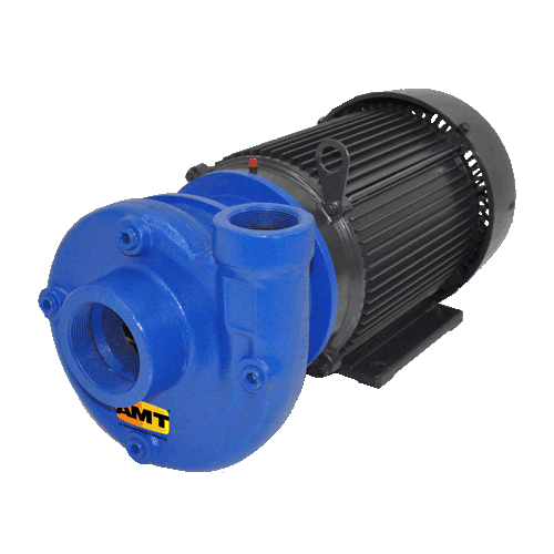 4261-95 AMT Cast Iron Heavy Duty Straight Centrifugal Pump (10 HP, 230/460 Volt, 3 Phase, TEFC Enclosure, Buna-N/SS Seal)