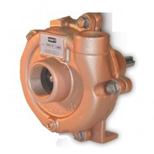 3682-97 AMT Bronze Straight Centrifugal Pedestal Pump (1/2 HP Required, 3/4" Suction, 1/2" Discharge, Bronze, 3/4" NPT Suction, 1/2" NPT Discharge, SS Impeller)