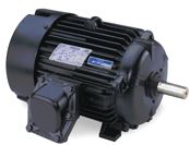 825072.00 Leeson Motors (213TTGN16507, 7.5 HP, 213TC Frame, 3600RPM, 230/460V, EPFC)