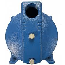 1K333 Goulds Casing - Shallow Well