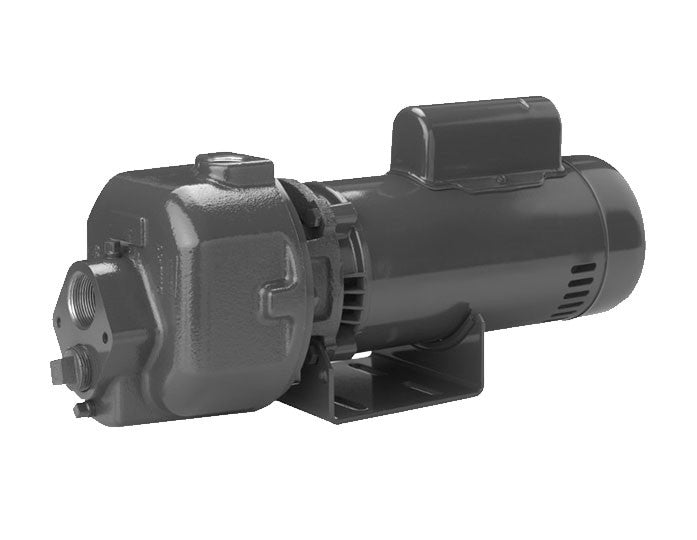 DMC-2-200MS1 Pentair Sta-Rite DMC Series Multi-Stage Centrifugal Pump (2 HP, 3 Phase)