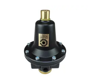 8802KH - COILHOSE - Heavy Duty Series Regulator, 1/4", Tamperproof, 0-200 psi