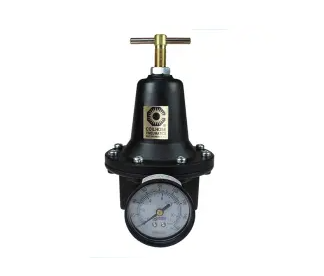 8804GH - COILHOSE - Heavy Duty Series Regulator, 1/2", Gauge, 0-200 psi