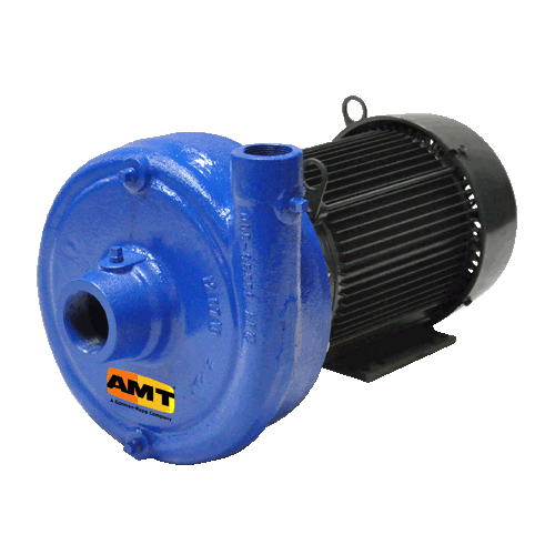 AMT Pumps 4201-95, 1750 RPM Straight Centrifugal Pump (5 HP, 208-230/460V, 3 Phase, TEFC)