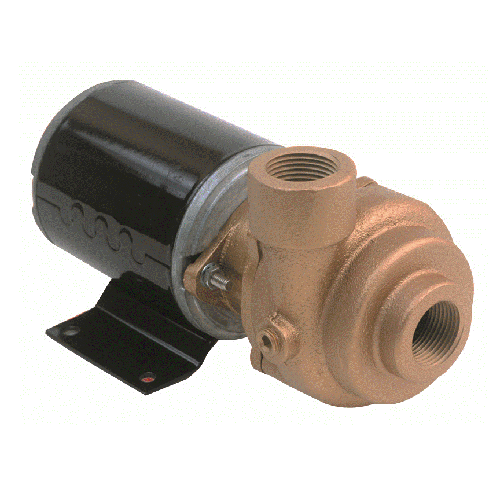 AMT Pumps 4861-97 Bronze Marine Pump (1/12 HP, 12 Volts DC, 3/4" Suction, 3/4" Discharge, TENV, 9 FLA)