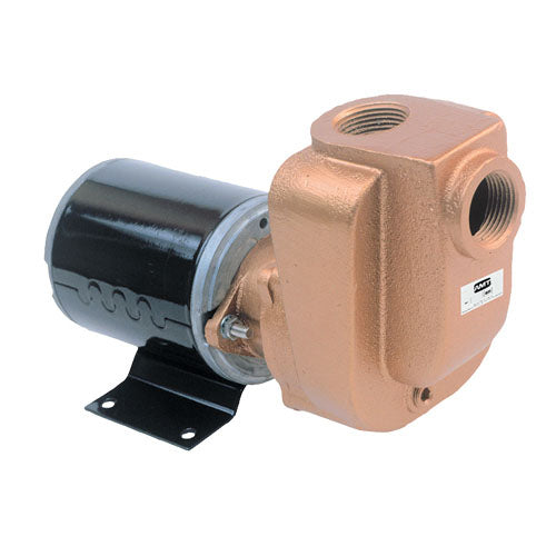 AMT Pumps 4851-97, 3/4" Self-Priming Utility Pump (1/8 HP, 12.8V DC, TENV Enclosure, 3/4" NPT Suction and Discharge, Bronze Casing)