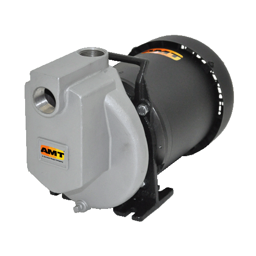 AMT Pumps 429A-98, 1" Self-Priming SS Centrifugal Pump (1/2 HP, 1 PH, TEFC , 115/230 V, 1" NPT , 1" NPT Discharge)