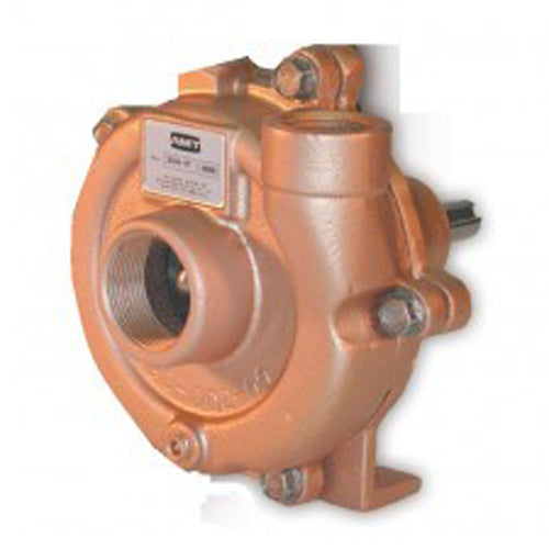 AMT Pumps 3704-97 Pedestal Pump (Min. 1 HP Required, 1" Suction 3/4" Discharge, Bronze, Bronze Impeller, Viton Shaft Seal)