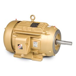 EJMM2546T Baldor Pump Motor (60HP, 230/460V, 60HP, 3540RPM, 3PH, 60HZ, 326JM, OPSB)