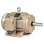 EGDM2535T Baldor Grain Dryer / Centrifugal Fan Motor (30 HP, 1800 RPM, 60 Hertz, 284TZ Frame, ODP Enclosure)
