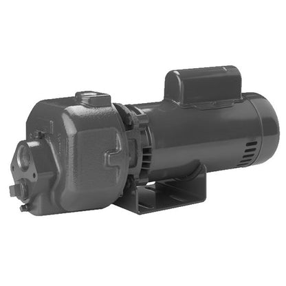 BDMC-2-200 Berkeley Multi-Stage Centrifugal Pump (2 HP, 1 Discharge, 230 Voltage, 1 Phase, 20-7/8 Length, Cast iron, DMC Series)