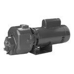 BDMC-2-200 Berkeley Multi-Stage Centrifugal Pump (2 HP, 1 Discharge, 230 Voltage, 1 Phase, 20-7/8 Length, Cast iron, DMC Series)