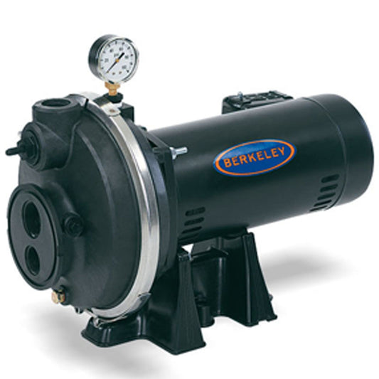 10PL Berkeley Corrosion-Resistant Convertible Deep Well Jet Pump (1 HP, 1-1/4" Suction, 1" Drive, 1" Discharge, 115/230 Voltage, PL Series)