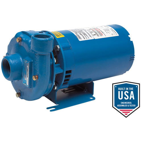 Goulds Pumps 1BF40312 Close-Coupled Centrifugal Pump (1/3 HP, 1 Phases, 115/230 Volts)