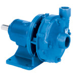 Goulds Pumps F1AI20 Centrifugal Frame Mounted Pump (2 HP, All Iron Construction, 1.25" Suction , 1" Discharge )