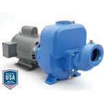Goulds Pumps 50SPH20 Self Priming Centrifugal Pump (5 HP, 1 Phase, TEFC Enclosure, 208-230 Voltage, 60 Hz, 2-1/2" Suction, 2" Discharge)