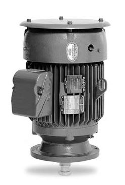 VHECP4103T Baldor Premium Efficient P-Base Vertical Solid Shaft Pump Motor (25 HP, 1800 RPM, 284HP Frame, Normal Thrust) - KG Power Systems