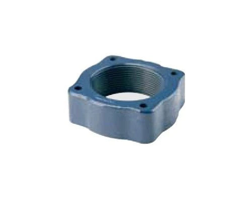 PKG 76 Pentair Sta-Rite 3" NPT Cast Iron Flange Replacement Strainer for Remote Installation