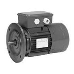 BR13S2A3 U.S. Motors FCR Series Brake Motors (1/3 HP, 56 Frame, 4.4 Brake Torque , 1800 RPM)