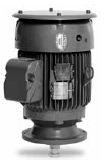 VHECP3665T Baldor Premium Efficient P-Base Vertical Solid Shaft Pump Motor, 184HP Frame, Normal Thrust  (5 HP, 1800 RPM)