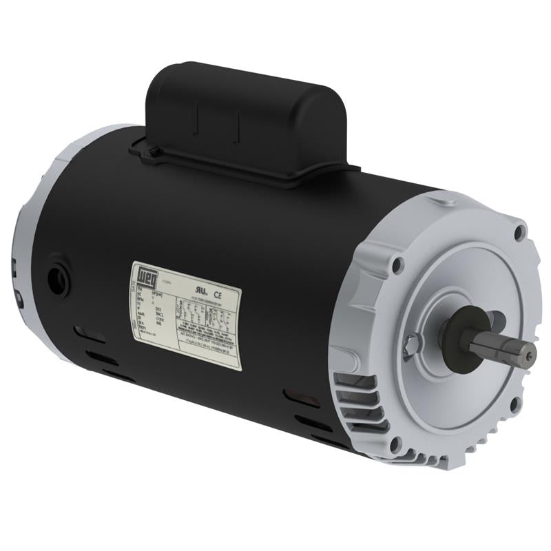 .7536OS1BJPRW56C-S WEG Jet Pump Motor (0 .75 HP, 3600 RPM, ODP Enclosure, Single Phase, 115/208-230 Voltage)