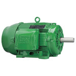 10012EG3E444T-W22 WEG General Purpose Severe Duty Motor (100 HP, 1200 RPM, 444/5T Frame, 230/460 Voltage, TEFC, 3 Phase)