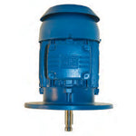 10036ET3G405HPH-W22 WEG NEMA P-Base Motor (100 HP, 75 kW, 3600 RPM, 404/5HPH Frame, 460 Voltage, 3 Phase, TEFC)