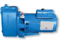 10WT5X Burks Self Priming Centrifugal Pumps (1 Phase Motor, 1 HP, 2" Suct)