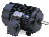 121916.00 Leeson Motors  (A145T34XB25, 2 HP, 145T Frame, 3600RPM, 230/460V, EPFC)