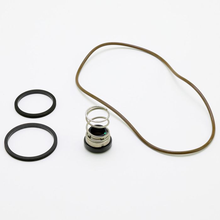 RPKNPE Goulds SEAL REPAIR KIT NPE