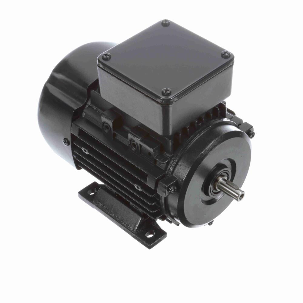 R303 Marathon IEC Motor (1/3 HP, 3 Phase, 63 Frame, TEFC Enclosure, 230/460 Volt, Reverse Rotation, Aluminum Material, B3/Rigid Mounting, Single Shaft)