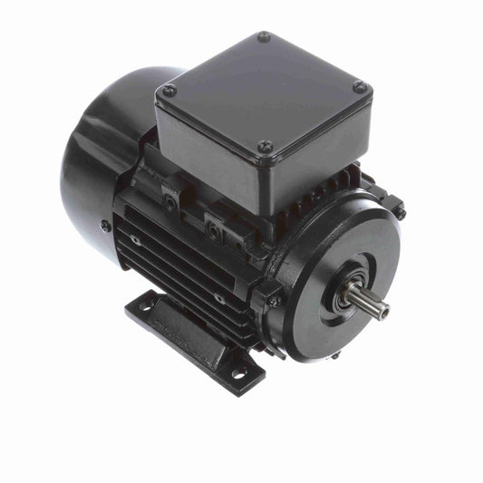 R303 Marathon IEC Motor (1/3 HP, 3 Phase, 63 Frame, TEFC Enclosure, 230/460 Volt, Reverse Rotation, Aluminum Material, B3/Rigid Mounting, Single Shaft)