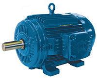 00312ET3PCT213T-W22  WEG Motor, Cooling Tower (3 HP, 213T FRAME, 200 V, THREE PHASE, TEFC , 1170 RPM)-1